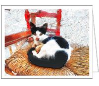 Cats of Greece - Sofia From Sifnos - Set of 6 Blank Notecards by Doggylips