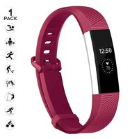 Alta HR Bands Compatible with Alta Ace Clourful Replacement Personalized Bracelet Gifts for Fashion Men & Women Slicon Waterproof Sport Smart Watch Bands with Metal Clasp (Purple, Small)