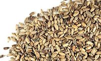 Milk Thistle Seed Whole (1 lb)