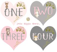 Mumsy Goose Baby Girl Monthly Stickers Heart Shaped Milestone Stickers for 1st Year Pink Grey Woodland