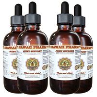Joint Care Liquid Extract, Organic or Wild Harvested Ginger Tincture Supplement 4x4 oz