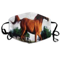 Face Mask Running Horse Custom Personalized Cycling Half Face Earloop Dust Mask for Girls