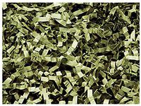 NWAMR-ZF10OL Olive Crinkle Cut Paper Shred 10 lb ~ Spring-fill Shred