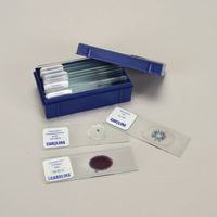 Beginner's Fungi Microscope Slide Set