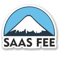2 x 10cm/100mm Saas Fee Ski Snowboard Vinyl Sticker Decal Laptop Travel Luggage Car iPad Sign Fun #5146