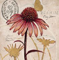 Luncheon Size Paper Napkin,Ruby Collection