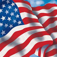 Creative Converting Paper Beverage Napkins, Patriotic Celebration, 18-Count