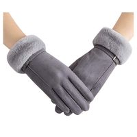 Allywit Women's Cold Weather Gloves Suede Non-Slip Like Soft Touchscreen Warm Lined Mittens (Gray)