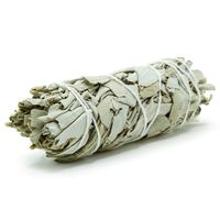 GloFX White Sage Bundle - 1 Pack - 4 Inches Wild Harvested California Smudge Stick Wand for Spiritual Incense Burning Aromatherapy Energy Cleansing Healing and Meditation