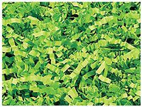 NWAMR-ZF10LM Lime Crinkle Cut Paper Shred 10 lb ~ Spring-fill Shred
