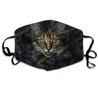 Unisex Unique Mouth Mask - Cute Dragonli Cat Pattern Polyester Anti-dust Masks - Fashion Washed Reusable Face Mask for Outdoor Cycling