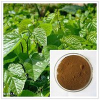 Mulberry Leaf Extract 4:1 Herbal Extract Powder 5 grams