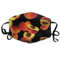 YUIOP Sliced Pieces of Peach Falling On Black Printed Mask Neutral Mask for Men and Women Polyester Dust-Proof Breathable Mask