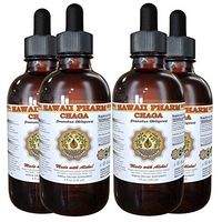 Chaga (Inonotus obliquus) Liquid Extract 4x4 oz