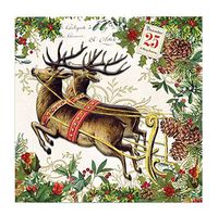 20-Count 3-Ply Paper Cocktail Napkins, Christmas Joy