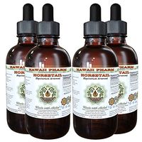 Horsetail Alcohol-Free Liquid Extract, Organic Horsetail (Equisetum arvense) Dried Herb Glycerite Hawaii Pharm Natural Herbal Supplement 4x4 oz
