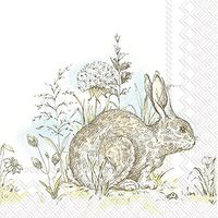 Celebrate the Home Easter 3-Ply Paper Cocktail Napkins, Easter Morning, 20-Count