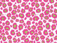 Verazui Wild cat Pack of 5 Animal Print Gift Grade Tissue Paper Sheets 15" x 20"