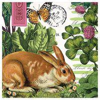 Michel Design Works 20-Count 3-Ply Paper Cocktail Napkins, Garden Bunny