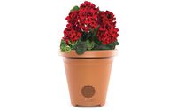 ION Planter Speaker Wireless Outdoor Speaker with Weather-Resistant Design and Integrated Drainage - Speakers - Retail Packaging - Clay