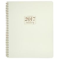 AT-A-GLANCE Weekly/Monthly Planner 2017, WorkStyle Take Chances, 8-1/2 x 11", Pistachio (WS503-905)