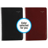 AT-A-GLANCE 2019 Daily Planner / Appointment Book, DayMinder, 5" x 8", Small, Color Selected For You (G10010)
