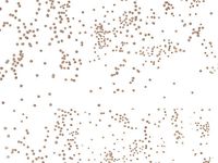 3 Rolls Gold Sprinkles Cellophane Wrap 300 ft #CCMN