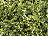Green Tea Crinkle Cut Paper Shred 10 lb Box ~ Spring-fill Shred - WRAPS-ZF10GT