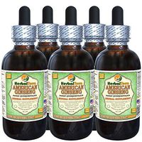American Ginseng (Panax Quinquefolius) Glycerite, Dried Root Alcohol-Free Liquid Extract (Brand Name: HerbalTerra, Proudly Made in USA) 5x2 fl.oz (5x60 ml)