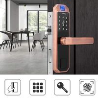 Fingerprint Door Lock, Smart Keyless Bronze Anti-Theft Cards Password Security System for Home Office