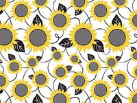 Puppy"PAW Print" Tissue Paper for Gift Wrapping 20"x30" Sheets Black & White - 50ct