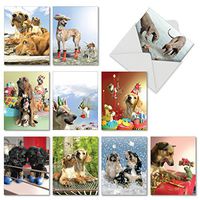 The Best Card Company - 10 Blank Dog Greeting Cards for All Occasions (4 x 5.12 Inch) - Puppy Love M6546OCB