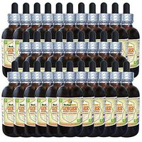 Ginger (Zingiber Officinale) Tincture, Organic Dried Root Liquid Extract (Brand Name: HerbalTerra, Proudly Made in USA) 30x2 fl.oz (30x60 ml)