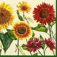 Ideal Home Range 20 Count Boston International 3-Ply Paper Cocktail Napkins, Le Soleil