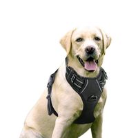 Rabbitgoo  Dog Harness No-Pull Pet Harness Adjustable Outdoor Pet Vest 3M Reflective Oxford Material Vest for Dogs Easy Control for Small Medium Large Dogs (Black, XL)