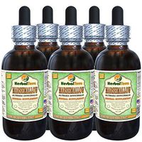 Marshmallow (Althaea Officinalis) Glycerite, Organic Dried Root Alcohol-Free Liquid Extract (Brand Name: HerbalTerra, Proudly Made in USA) 5x2 fl.oz (5x60 ml)