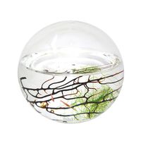 EcoSphere Small Sphere