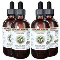 Stinging Nettle Alcohol-Free Liquid Extract, Organic Stinging Nettle (Urtica Dioica) Dried Root Glycerite Natural Herbal Supplement, Hawaii Pharm, USA 4x4 fl.oz
