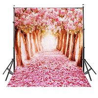 Valentine's Day Studio Photography Backdrop Background Best For lover,Wedding