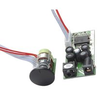 Dayton Audio DTA-2 Class D Digital Audio Amplifier Module