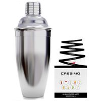24 Ounce Cocktail Shaker Bar Set with Accessories - Martini Kit with Drink Recipes Booklet - Professional Stainless Steel Bar Tools - Built-in Bartender Strainer (1 Piece Set)