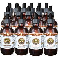 Yerba mansa (Anemopsis californica) Liquid Extract 15x4 fl.oz