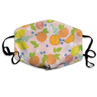 YUIOP Orange Lemon Printed Mask Neutral Mask for Men and Women Polyester Dust-Proof Breathable Mask