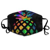 Rainbow Pineapple Dust Mask,Washable and Reusable Cleaning Gardening Outdoor Activities Warm Windproof Mask