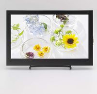 11.6 inch 1920x1080 Full HD Portable Lightweight 1080p IPS LED LCD Monitor with HDMI VGA 3.5mm Headphone Ports,12V 2A DC Power Supply, 1080p HDMI VGA FHD Input for Video Display.