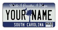 BleuReign Personalize Your Own 2016 South Carolina State Bicycle Bike Stroller Children's Toy Car 3"x6" License Plate Tag