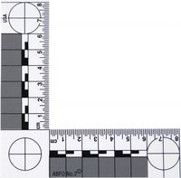 Abfo no. 2 Photomacrographic scale