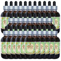 Arnica (Arnica Montana) Glycerite, Organic Dried Flowers Alcohol-Free Liquid Extract (Brand Name: HerbalTerra, Proudly Made in USA) 30x2 fl.oz (30x60 ml)