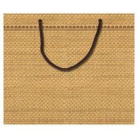 Entertaining with Caspari Panama Paper Gift Bag, Large, 1-Count