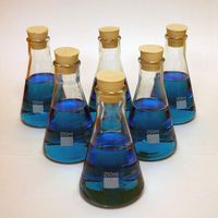 LabStock 250ml Erlenmeyer Flask, Glass with Rubber Stoppers, Pack of 6